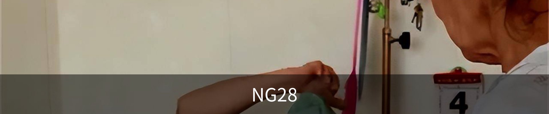 NG28